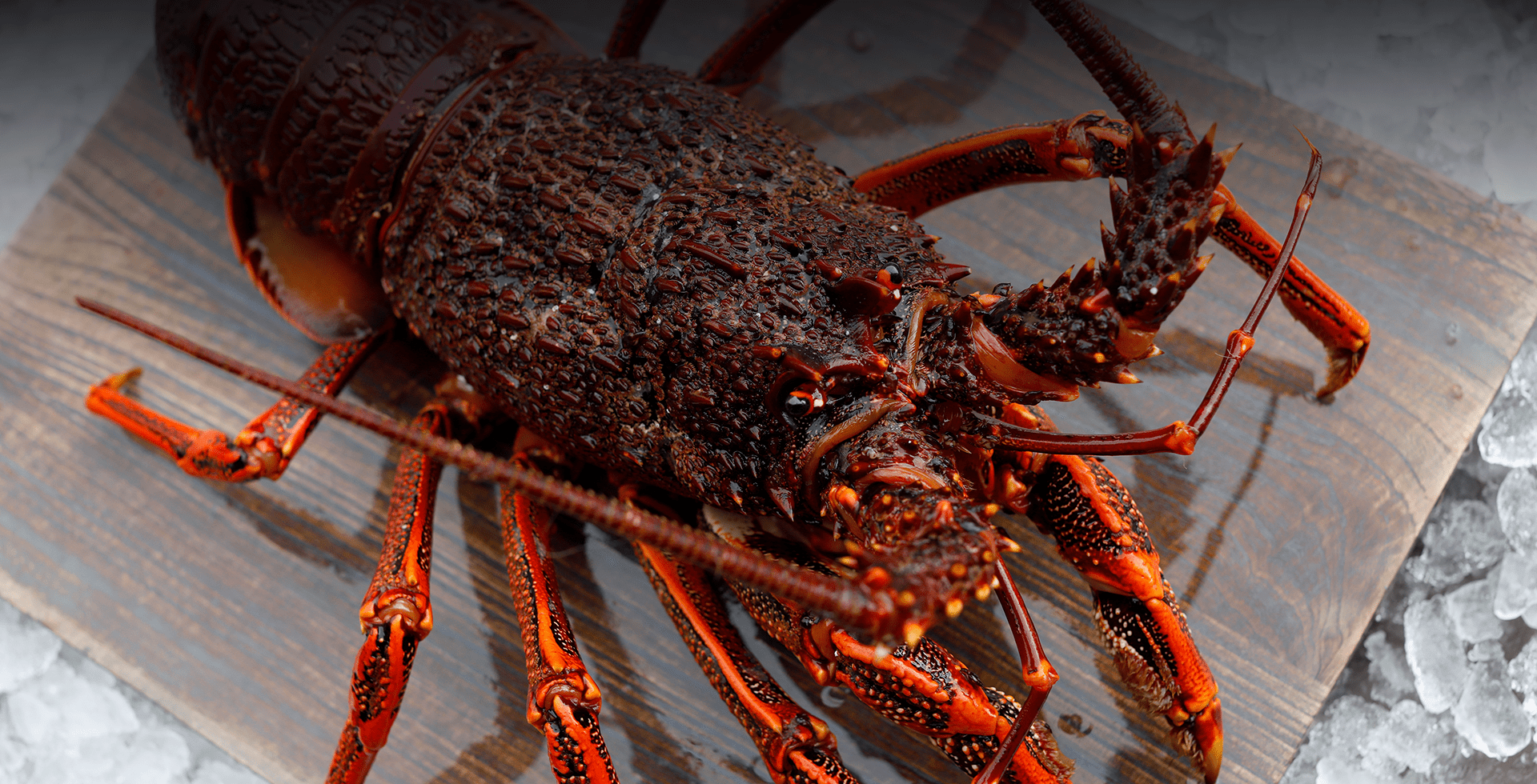 Southern Rock Lobster Top Fish Pty